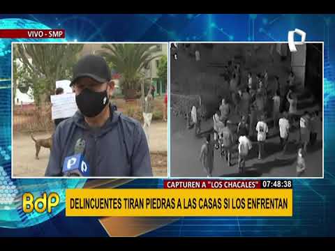 SMP: vecinos atemorizados por grupo violento llamado “Los Chacales”