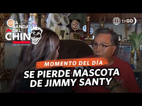 La Banda del Chino: Mascota de Jimmy Santy se pierde en Jesús María (HOY)