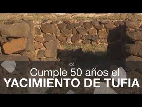 El yacimiento de Tufia cumple 50 años como Bien de Interés Cultural