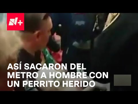 Policías sacan del Metro Garibaldi a hombre que llevaba a perrito herido - Despierta