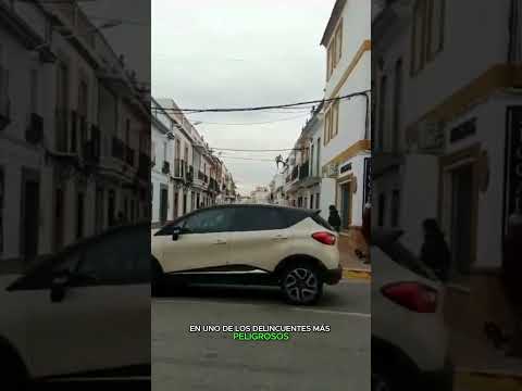 INTENTA ESCAPAR DE LA GUARDIA CIVIL POR LOS CABLES DE LA LUZ EN BRENES, SEVILLA