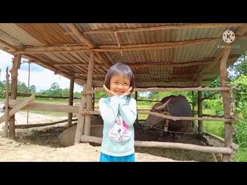 มื้อนี้หลกกล้าใว้ดำนามื้ออื่นค มื้อนี้หลกกล้าใว้ดำนามื้ออื่นค