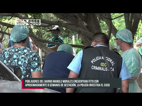 Consternación por hallazgo de feto en manjol de un barrio de Managua - Nicaragua