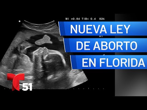 Entra en vigor nueva ley sobre el aborto en Florida