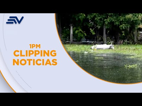 Inundaciones en Guayas afectan a decenas de hectáreas de cultivos | Televistazo | Ecuavisa