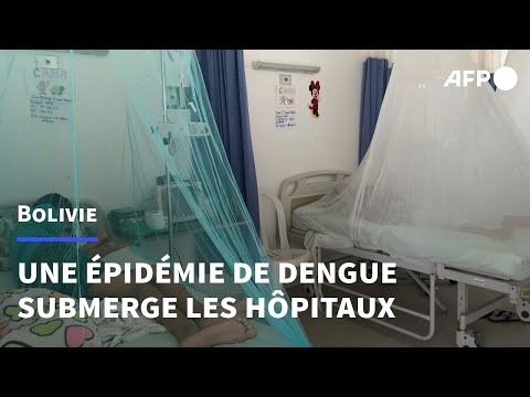 Bolivie : les hôpitaux de Santa Cruz croulent sous les cas de dengue | AFP