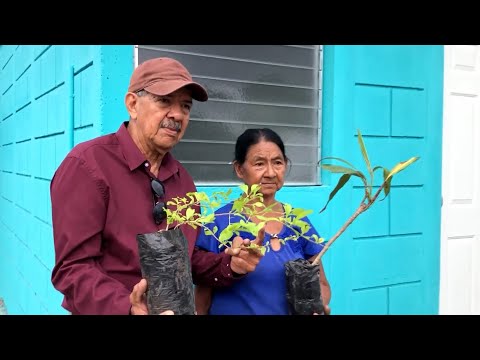 Municipalidad en Boaco facilita plantas ornamentales a familias del programa vivienda social