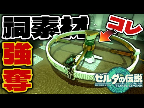 【ティアキン解説】祠素材の盗み方【ゼルダの伝説】