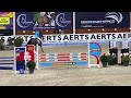 Show jumping horse Springpaard te koop
