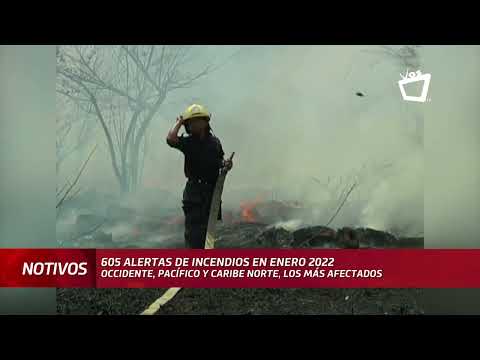 605 alertas de incendios en enero 2022, según Jóvenes Ambientalistas