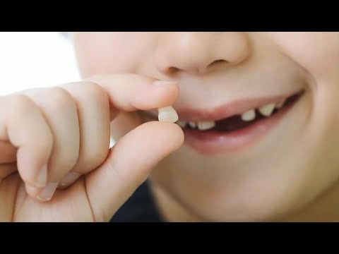 La importancia de los dientes de leches en los niños