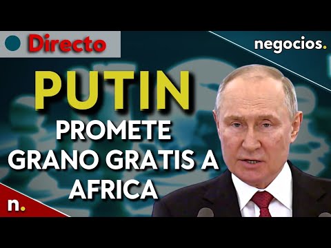 DIRECTO: Putin promete grano gratis a África, rastro de explosivos en un buque y pérdidas en Ucrania
