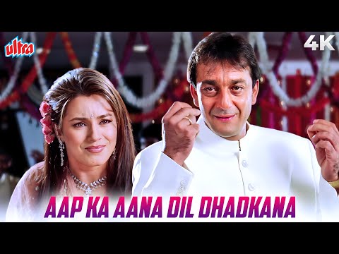 Aap Ka Aana Dil Dhadkana 4K | Alka Yagnik, Kumar Sanu | Sanjay Dutt, Mahima Chaudhry | Kurukshetra