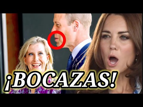 LECTOR DE LABIOS REVELA CONVERSACIÓN ENTRE EL PRÍNCIPE WILLIAM Y SOPHIE POR KATE MIDDLETON ?