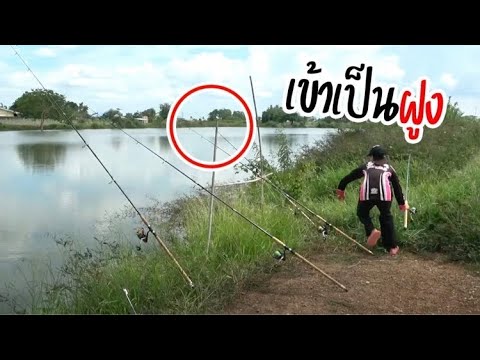 ตีไปเถอะ-ถ้ามันเข้า-มันมาเป็นฝ ตีไปเถอะ-ถ้ามันเข้า-มันมาเป็นฝ