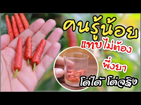 ไม่ใช่ธรรมดา-แล้ว..!!-ถ้ารู้ปร ไม่ใช่ธรรมดา-แล้ว..!!-ถ้ารู้ปร