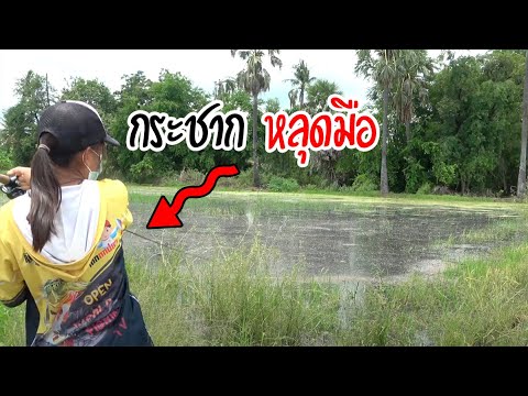 ปลากำลังเข้านา-มันดุสุดๆ-|-เด็ ปลากำลังเข้านา-มันดุสุดๆ-|-เด็
