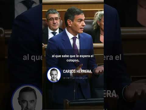 Herrera: Sánchez se venga de la democracia porque la democracia le dio la espalda el domingo