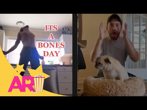 ¿Día con huesos o sin huesos El perrito que causa sensación en redes sociales