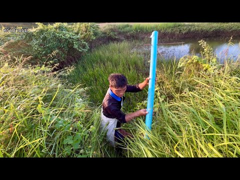 นอนทุ่งนา🌾ยามบั้งลันปลาไหลหาห