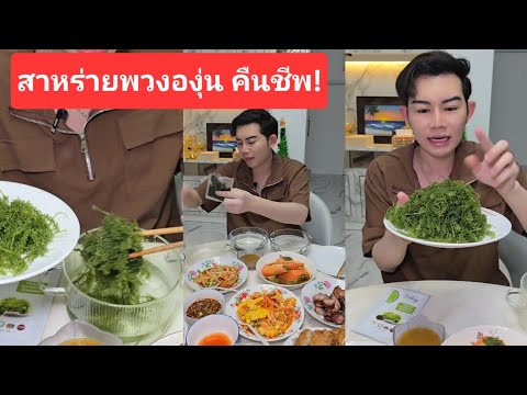 สาหร่ายพวงองุ่นขันติกินกลับมา