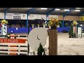 Cheval de CSO 6 jarig springpaard (Falaise de Muze x Goodtimes)