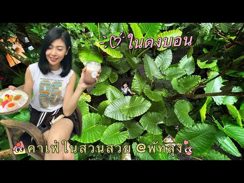 ในดงบอนคาเฟ่ในสวนสวยพัทลุงต