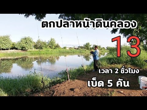 ตกปลาหน้าดินหมายธรรมชาติคลอง