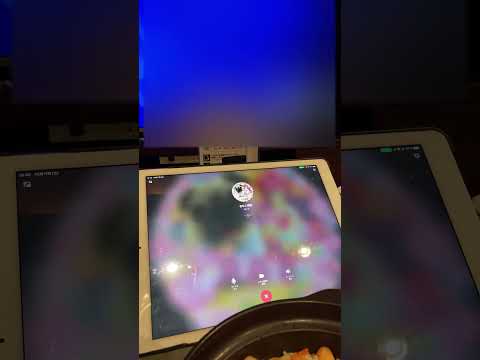 20251011 センちゃんオフ会 ハイライト①