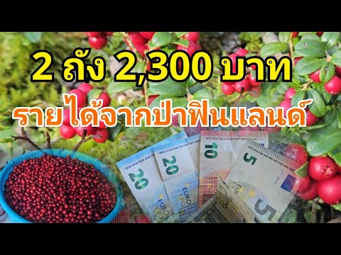 รายได้หลังเลิกงาน2ถัง2,300