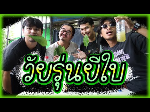 น้ำกระท่อม-ปี-2021-(สวัสดีวัยร น้ำกระท่อม-ปี-2021-(สวัสดีวัยร