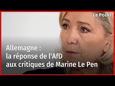 Allemagne : la réponse de l'AfD aux critiques de Marine Le Pen