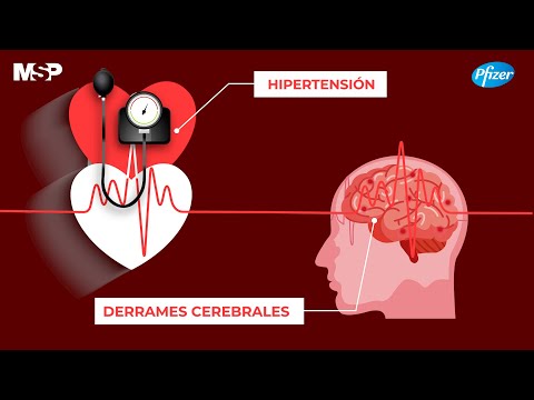 Concienciación de derrame cerebral y día mundial de hipertensión arterial