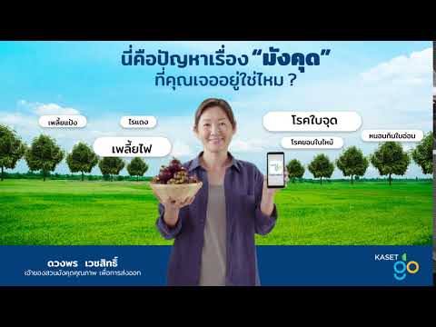 ทุกปัญหาเรื่องมังคุด-มีคำตอบที ทุกปัญหาเรื่องมังคุด-มีคำตอบที