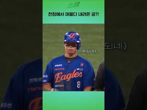 천장에서 머물다 내려온 공?!