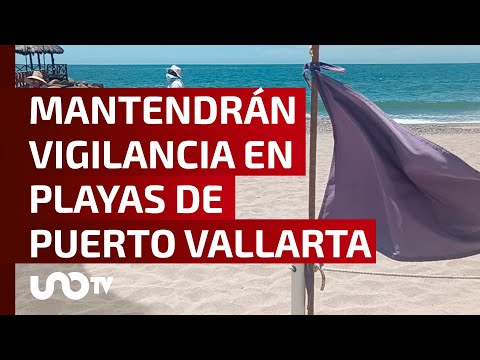 Marea verde y medusas, obligan a implementar banderas moradas en Puerto Vallarta