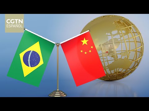 Vicepresidente brasileño expresa optimismo ante potencial de cooperación con China