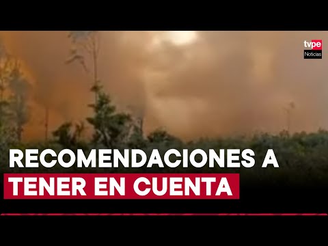 Incendios forestales: ¿qué hacer ante estos siniestros?