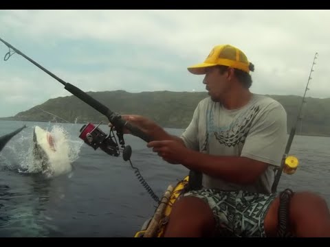 THE OFFICIAL AHTV - CHOMPY THE SHARK (BREACHING GREAT WHITE SHARK)