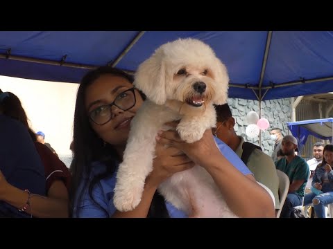 Familias rivenses participan en el primer día de la jornada antirrábica canina 2023