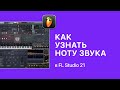      FL Studio 21 [Fruity Pro Help]