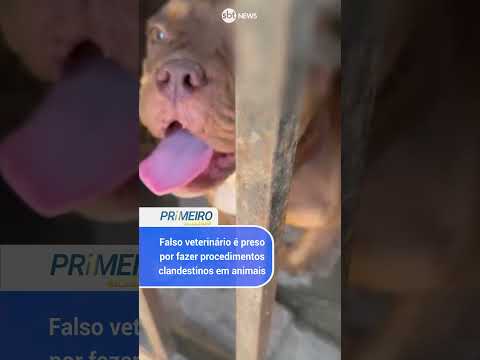 Falso veterinário é preso por procedimentos clandestinos em animais