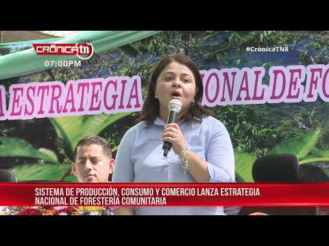 INAFOR lanza estrategia en Nicaragua de forestería comunitaria