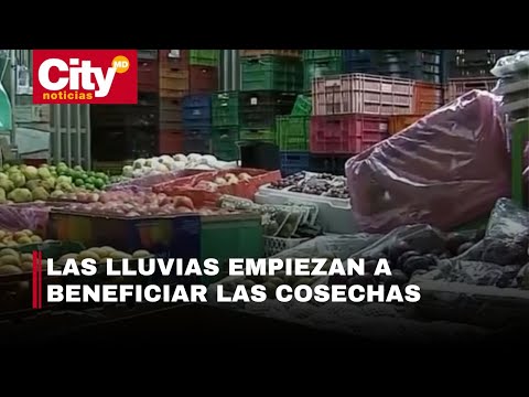 Así se comporta el precio de los alimentos en las plazas de mercado de Bogotá | CityTv