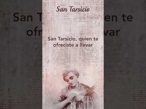 Oración a San Tarsicio #SantoDelDía  #TeleVID #Shorts