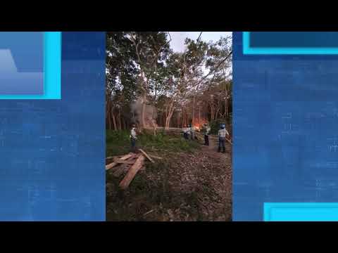 Usurpadores invaden terrenos en Ayutla, San Marcos