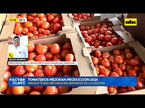 Tomateros mejoran producción 2024