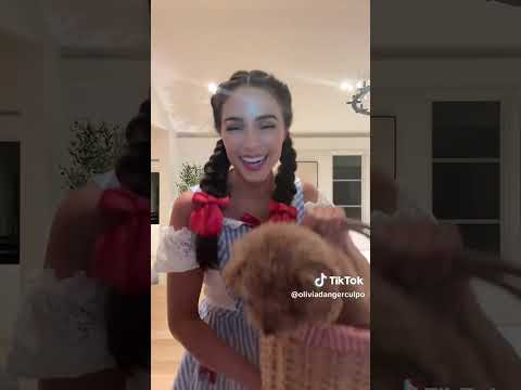 Olivia Culpo unveiled “Wizard of Oz” Halloween costumes with Christian McCaffrey #shorts