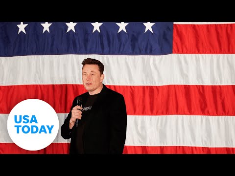 Billionaire Elon Musk giving swing state voters $1 million | USA TODAY