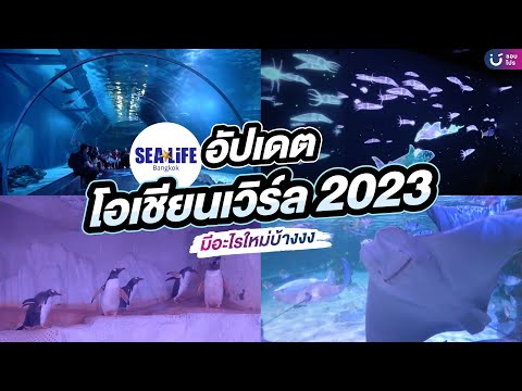 อัปเดตโอเชียนเวิลด์ปี2023มีอ